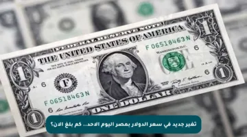 تغير جديد في سعر الدولار بمصر اليوم الأحد.. كم بلغ الآن؟